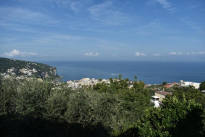 Villa Di Martino